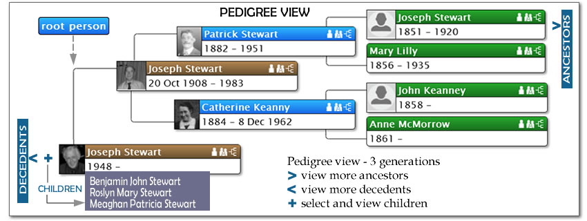 Pedigree_view